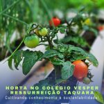 HORTA NO COLÉGIO VESPER RESSURREIÇÃO TAQUARA