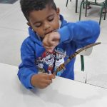 Nível lllA  Projeto de grupo.  Eu e o mundo natural e cultural.